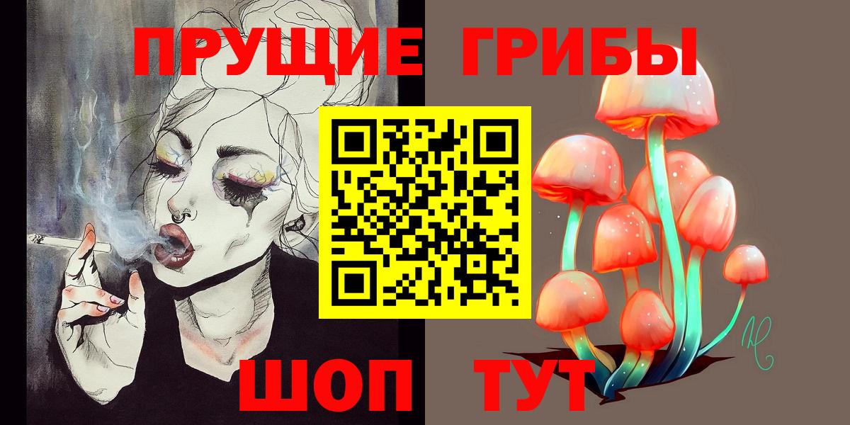 Псилоцибиновые грибы GOLDEN TEACHER Кизляр