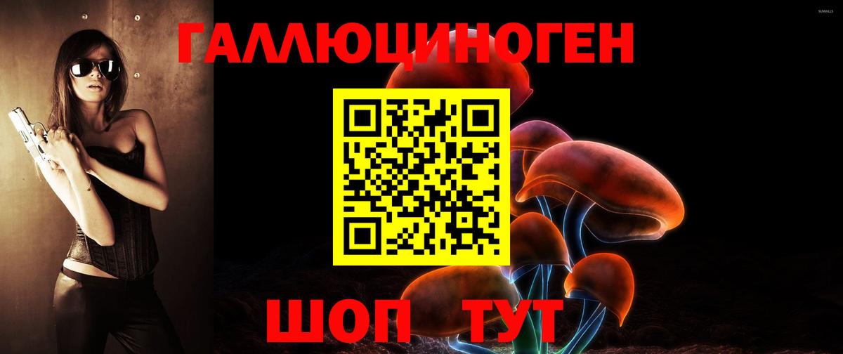 Кизляр  закладка  Вход с VPN  Галлюциногенные грибы Cubensis  Галлюциногенные грибы Cubensis 