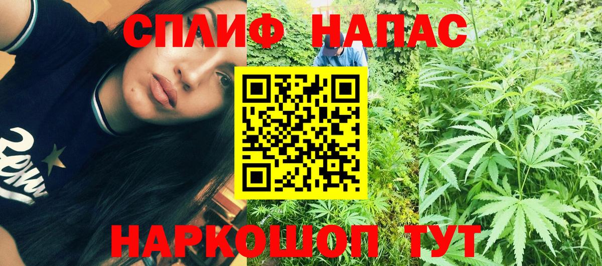 Марихуана White Widow  Бошки марихуана план  Бошки марихуана семена  Вход с VPN  Кизляр 